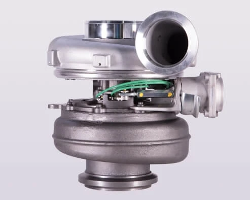 Experts with special understanding of mike tyson.